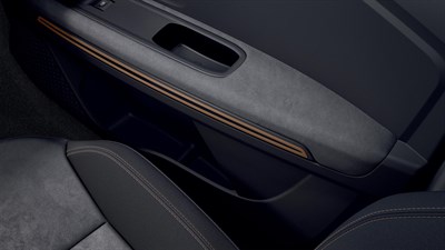 Sandero Stepway Extreme - TEP MicroCloud lavable 